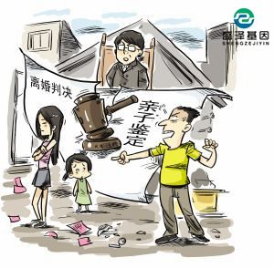 親子鑒定該不該背婚姻失敗的鍋？