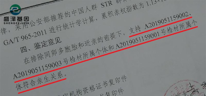 DNA親子鑒定報告究竟長啥樣？怎么看？