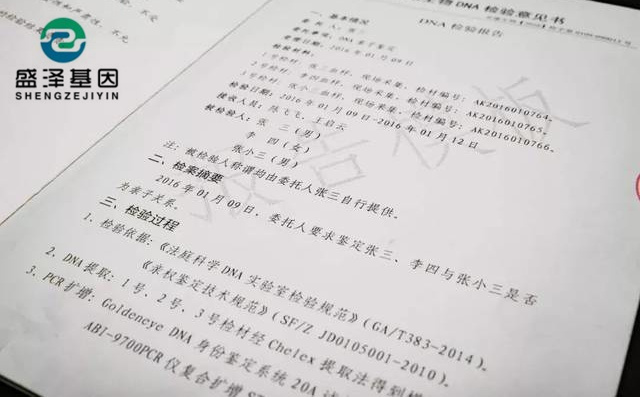 DNA親子鑒定報告究竟長啥樣？怎么看？