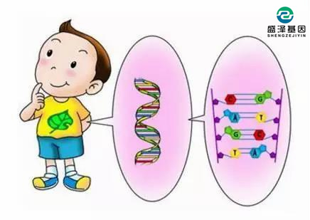 父子DNA鑒定配比率多少孩子才是親生？3