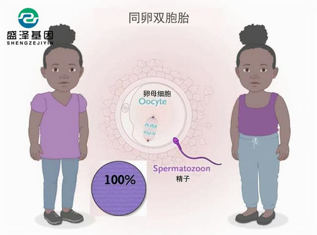 廣東男子做親子鑒定，竟發(fā)現(xiàn)自家雙胞胎有一個不是自己的？！