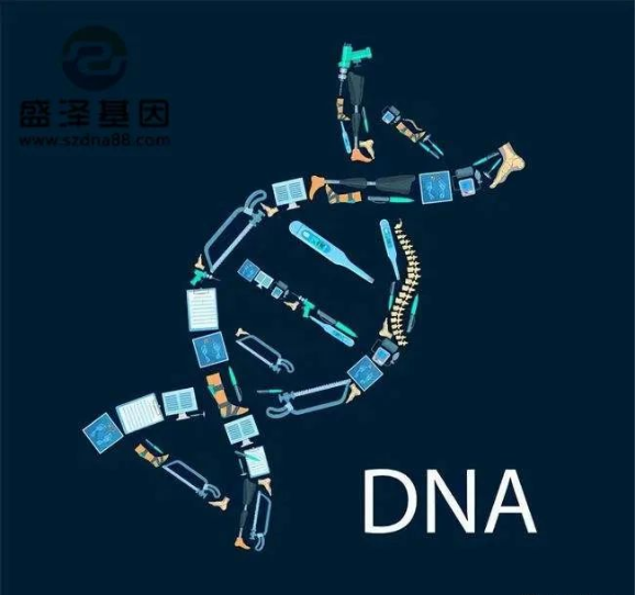 醫(yī)學(xué)怪病奇美拉現(xiàn)象：親自生未必是親生？你身體還住著另一個(gè)人？