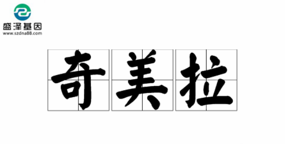 醫(yī)學(xué)怪病奇美拉現(xiàn)象：親自生未必是親生？你身體還住著另一個(gè)人？