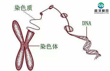 個(gè)人隱私親子鑒定可以保密嗎？怎么選擇司法親子鑒定機(jī)構(gòu)？