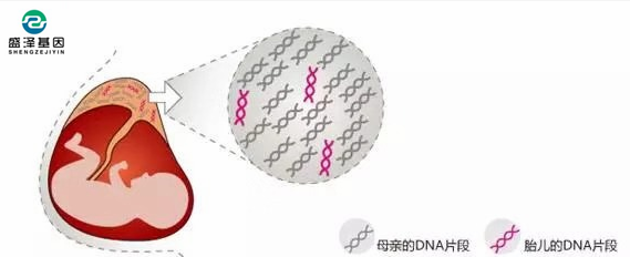 中山隱私親子鑒定所：?jiǎn)窝燮せ蚍蚱弈苌鲭p眼皮寶寶嗎？