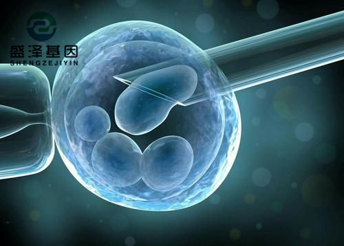 親子鑒定師講述：老公明明是無精癥，老婆卻試管嬰兒懷孕成功？