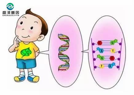 親子鑒定口腔拭子樣本結果不準確的原因是什么？