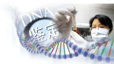 母子親子鑒定哪里檢測？