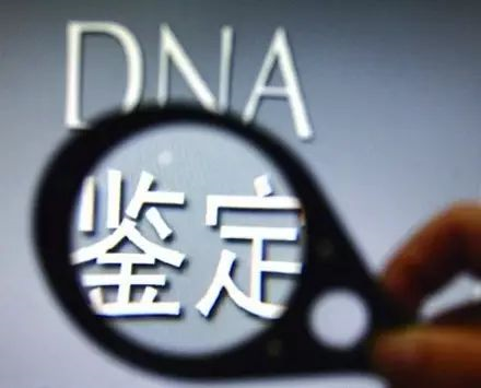 司法親子鑒定報(bào)告怎么做？需要采集什么樣本？