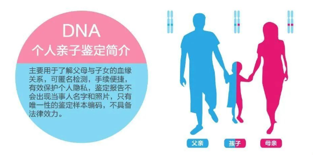 中山東區(qū)司法親子鑒定中心給客戶做親子鑒定準確率如何？