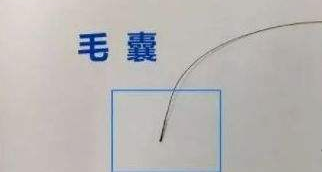 隱私親子鑒定自己一人能完成樣本采集嗎？