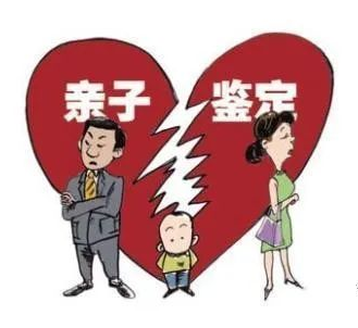 司法親子鑒定辦理流程有哪些？效力如何？
