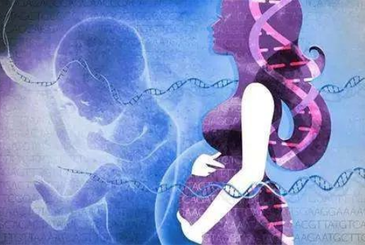 孕婦懷孕幾個(gè)月可以做dna親子鑒定？對(duì)胎兒有傷害嗎？