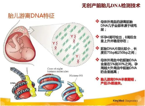 孕期做胎兒親子鑒定合適嗎？孕期有哪些胎兒親子鑒定方法？