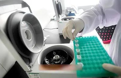 指甲是否含有DNA，可作為親子鑒定樣本嗎？