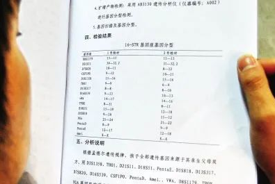 對(duì)隱私親子鑒定承擔(dān)法律責(zé)任，不讓親子鑒定成“傷害婚姻鑒定”