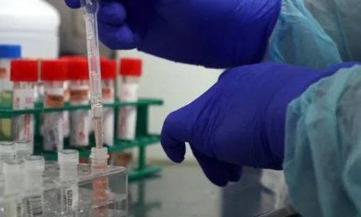 除了血液人的唾液能做親子鑒定嗎？能親子鑒定人的遺傳病史嗎？