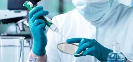 除了血液人的唾液能做親子鑒定嗎？能親子鑒定人的遺傳病史嗎？