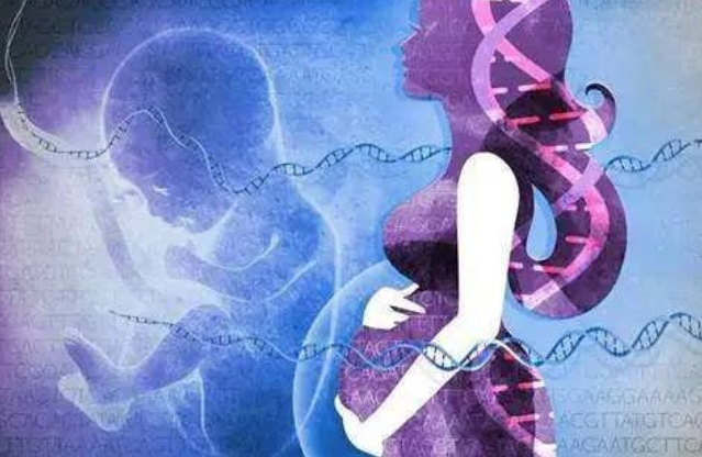 孕媽沈女士求助：懷孕胎兒親子鑒定準(zhǔn)確嗎？