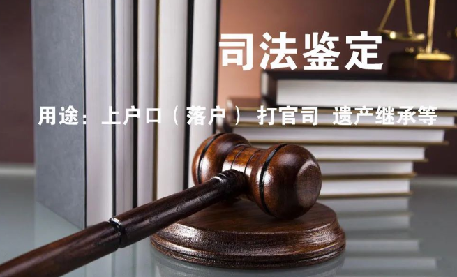 隱私親子鑒定與司法親子鑒定，到底怎么選？