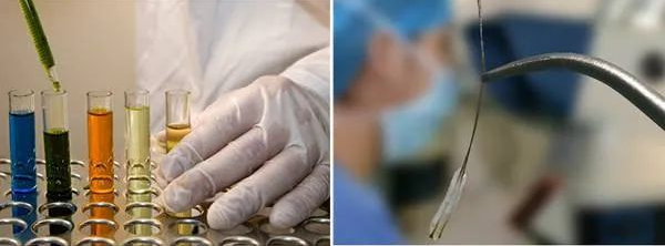 常規(guī)個人親子鑒定郵寄的樣本如何保證準確性?