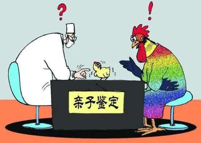 親子鑒定人數(shù)逐年上升，透過(guò)現(xiàn)象看本質(zhì)：親子鑒定折射信任危機(jī)