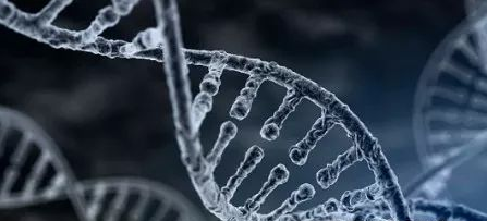 做親子鑒定血液如何釆取？