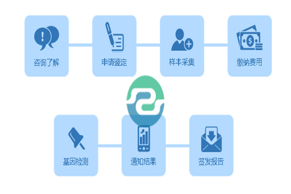 中山親子鑒定需要哪些信息？