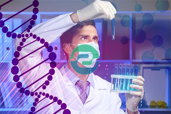 什么是中山無創(chuàng)DNA親子鑒定？