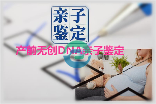 2025年如何進行中山親子鑒定介紹！