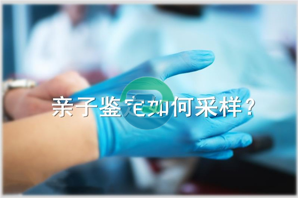 如何找到正規(guī)的中山親子鑒定中心呢？