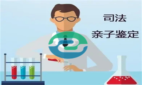 中山親子鑒定要花多少錢？盛澤基因