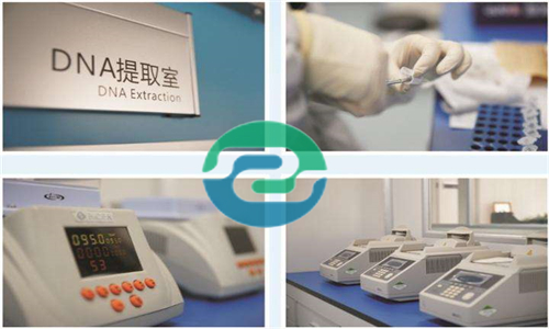 中山親子鑒定根據(jù)類型不同需要的材料也不一樣！