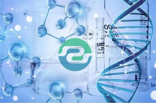 中山司法親子鑒定在哪里進行呢？