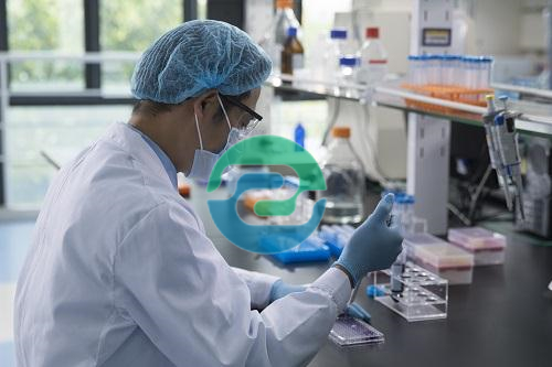 中山親子鑒定的過程麻煩嗎？