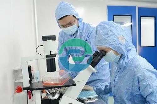 2025年的中山親子鑒定預(yù)約過程比較方便