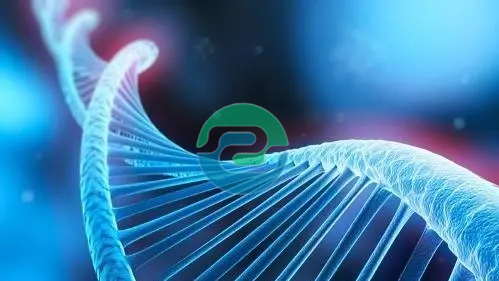中山親子鑒定的費(fèi)用是多少？需要什么？